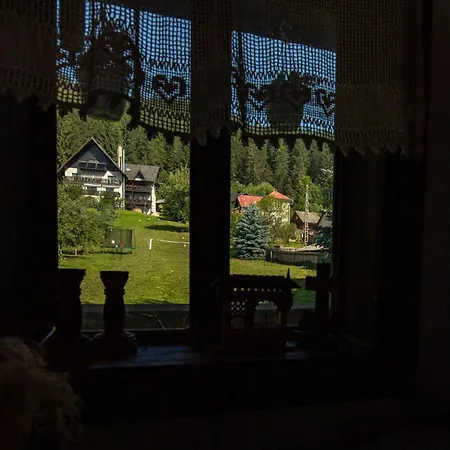 Bucovina Lodge Pension-3